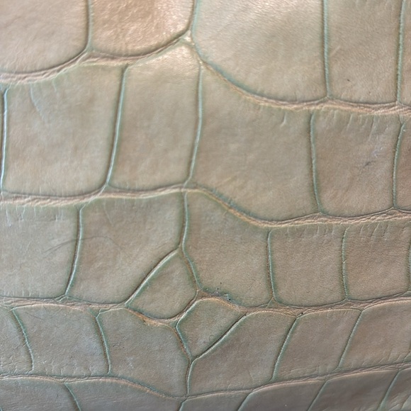 Dooney & Bourke  Vintage  alligator Satchel  Leather  Lt. Green  Front pocket - Picture 8 of 15